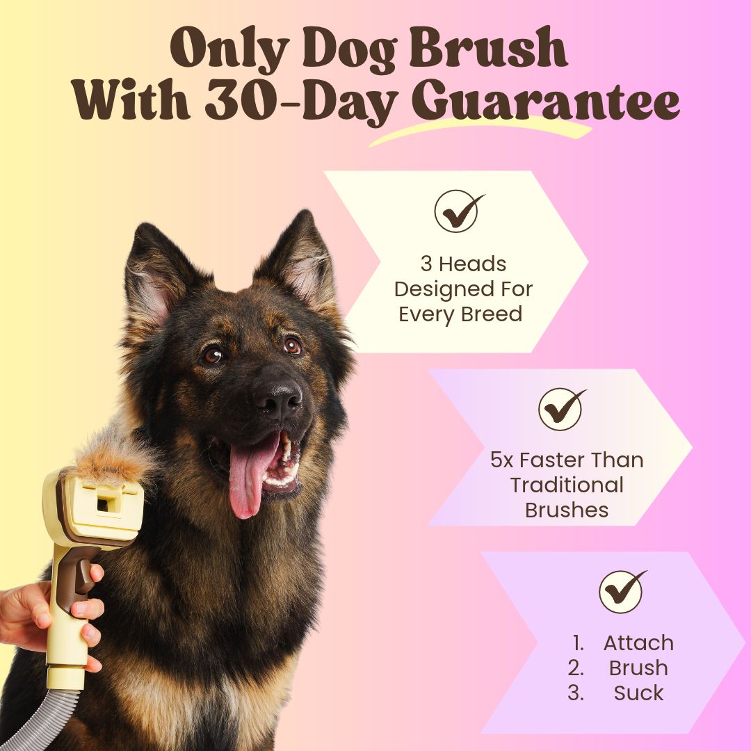 THE GROOMI: GROOMI 3-in-1 Vacuum Pet Brush Kit — self-cleaning dog grooming brush, slicker rake deshed heads, fits any vacuum up to 45mm, removes loose fur, mess-free de-shedding, for short medium long coats, reduces shedding allergies, at-home grooming tool.