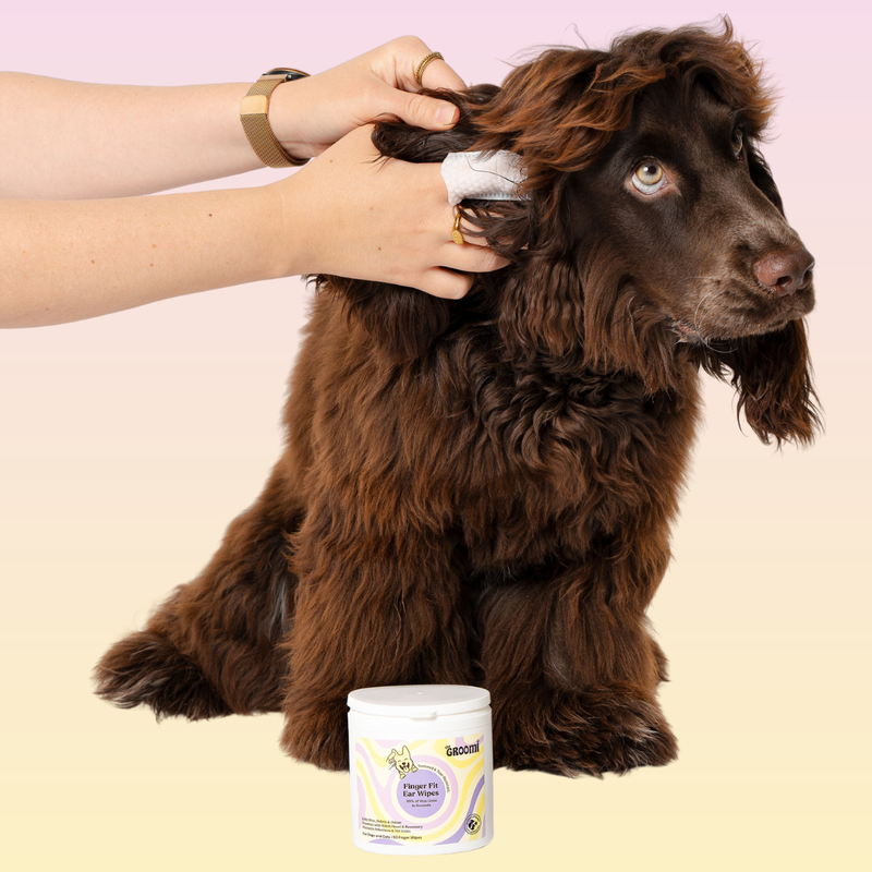 THE GROOMI: GROOMI™ Ear Wipes — dog & cat ear cleaning wipes, finger-shaped textured, removes wax dirt odor, gentle witch hazel rosemary, hypoallergenic, vet-approved, mess-free, 50 pack, prevents infections, pet grooming, sensitive ears, fast easy at-home care.