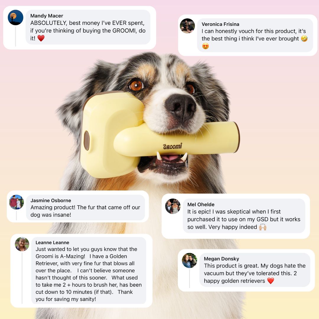 THE GROOMI: GROOMI 3-in-1 Vacuum Pet Brush Kit — self-cleaning dog grooming brush, slicker rake deshed heads, fits any vacuum up to 45mm, removes loose fur, mess-free de-shedding, for short medium long coats, reduces shedding allergies, at-home grooming tool.