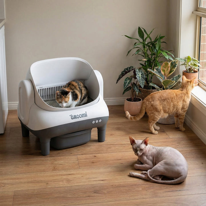 GROOMI™ Smart Litter System