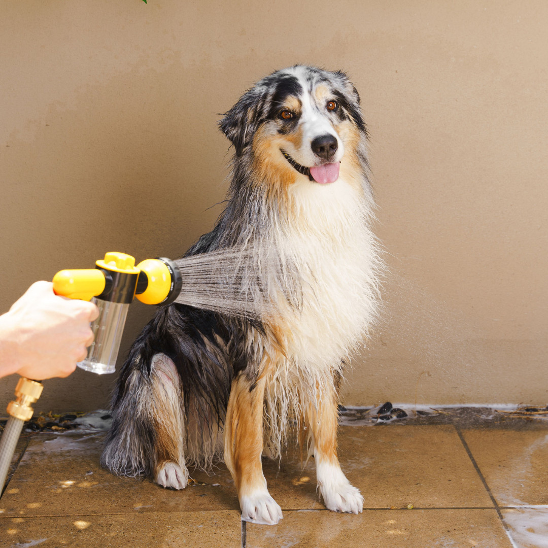 Dog wash hose sales attachment
