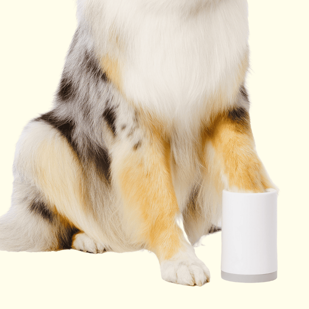 The Groomi: Muddy Paws. Muddy Paws Portable Paw Cleaner for DogsA compact and portable device for quick, chemical-free cleaning of your dog's muddy paws.Effortless Dog Paw Cleaning in Less Than 60 SecondsMuddy Paws effortlessly removes dirt and mud from your pet's paws in under 60 seconds. User-Friendly Compact Pet Paw Washer