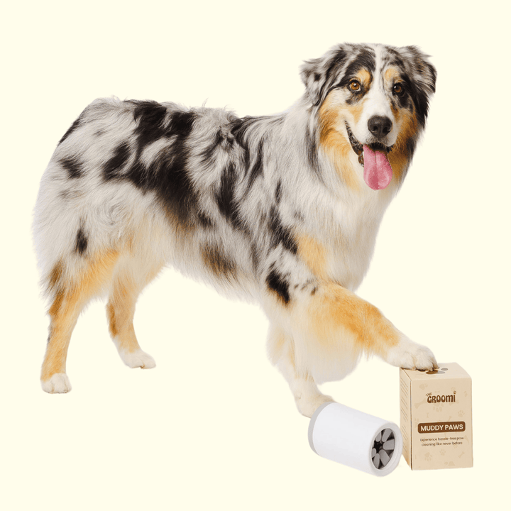 The Groomi: Muddy Paws. Muddy Paws Portable Paw Cleaner for DogsA compact and portable device for quick, chemical-free cleaning of your dog's muddy paws.Effortless Dog Paw Cleaning in Less Than 60 SecondsMuddy Paws effortlessly removes dirt and mud from your pet's paws in under 60 seconds. User-Friendly Compact Pet Paw Washer