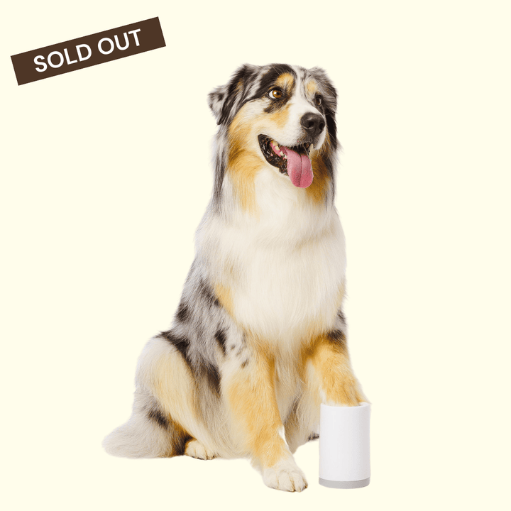 The Groomi: Muddy Paws. Muddy Paws Portable Paw Cleaner for DogsA compact and portable device for quick, chemical-free cleaning of your dog's muddy paws.Effortless Dog Paw Cleaning in Less Than 60 SecondsMuddy Paws effortlessly removes dirt and mud from your pet's paws in under 60 seconds. User-Friendly Compact Pet Paw Washer