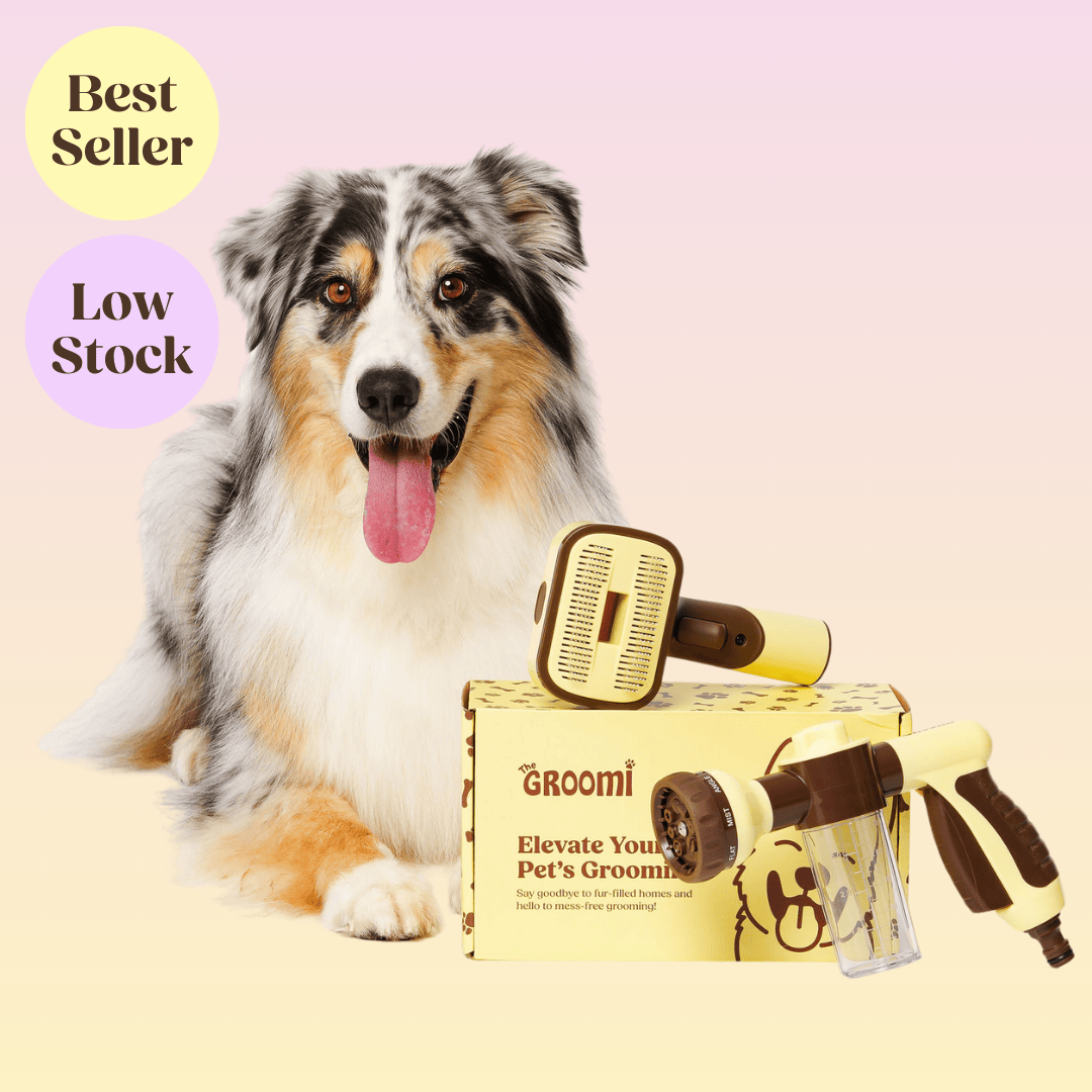 The GROOMI Kit is a quick, mess-free dog grooming brush that connects to vacuums. Ideal for all dog hair types, it features three heads: Slicker, De-Shed, and Rake. This self-cleaning tool captures loose fur efficiently, is allergen-friendly, and perfect for home use. Reduces shedding, saves time, and maintains a clean, fur-free home. Includes a universal vacuum adapter and storage bag, making grooming simple and effective for any dog breed.