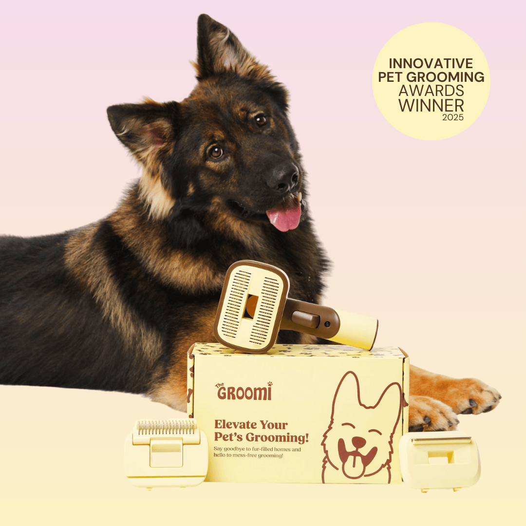 The GROOMI Kit is a quick, mess-free dog grooming brush that connects to vacuums. Ideal for all dog hair types, it features three heads: Slicker, De-Shed, and Rake. This self-cleaning tool captures loose fur efficiently, is allergen-friendly, and perfect for home use. Reduces shedding, saves time, and maintains a clean, fur-free home. Includes a universal vacuum adapter and storage bag, making grooming simple and effective for any dog breed.