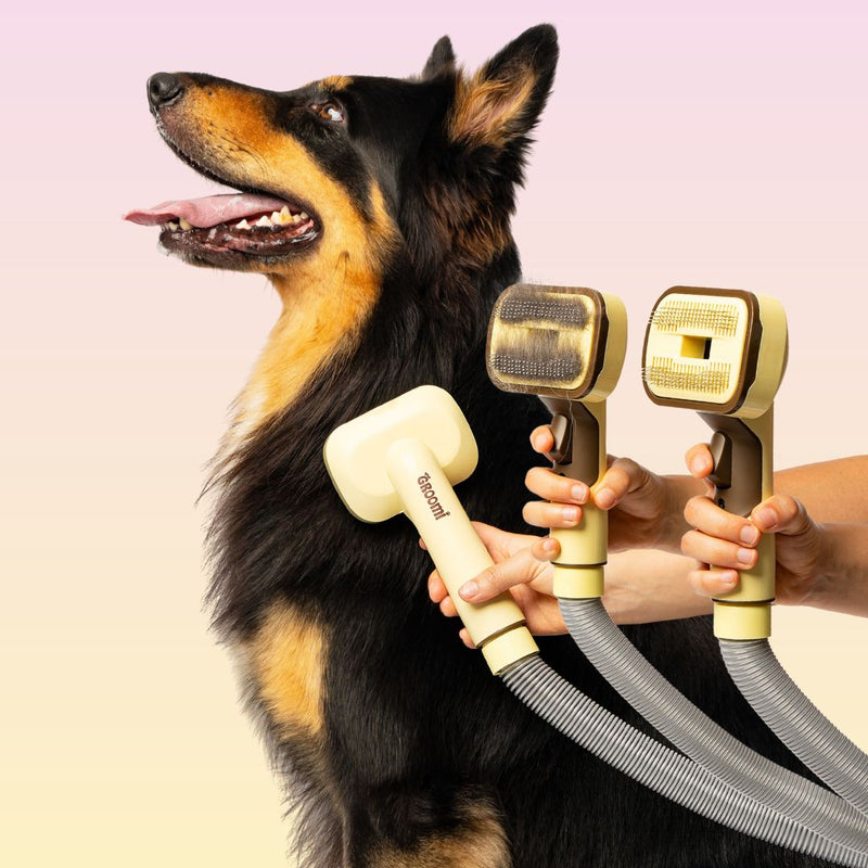 THE GROOMI: GROOMI 3-in-1 Vacuum Pet Brush Kit — self-cleaning dog grooming brush, slicker rake deshed heads, fits any vacuum up to 45mm, removes loose fur, mess-free de-shedding, for short medium long coats, reduces shedding allergies, at-home grooming tool.