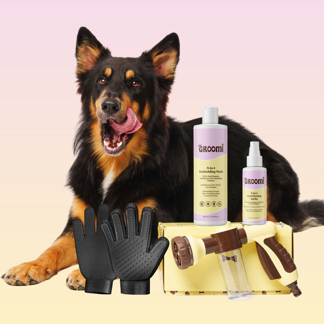 THE GROOMI: Bath Bundle — dog bathing kit, Hydro Hound hose sprayer, deshedding wash shampoo, grooming gloves, fast mess-free clean, removes dirt and loose fur, all breeds, at-home grooming, hypoallergenic formula, easy bath routine, saves time.