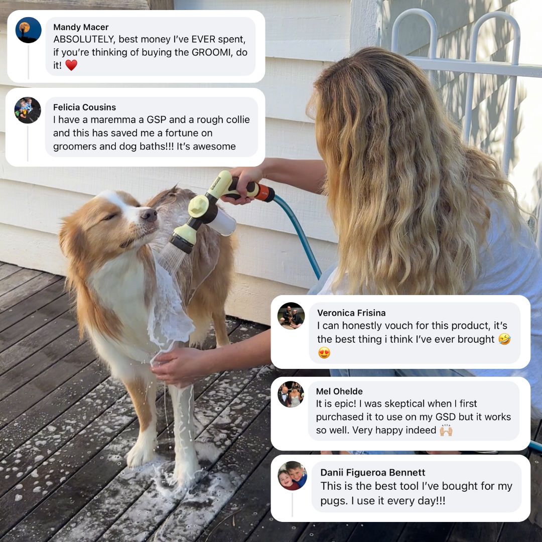 THE GROOMI: Hydro Hound — dog wash hose sprayer with foaming soap bottle, attaches to garden tap, adjustable spray, fast deep clean, removes mud and loose fur, mess-free bath, all breeds, at-home grooming, durable leak-proof fittings, saves time and water.