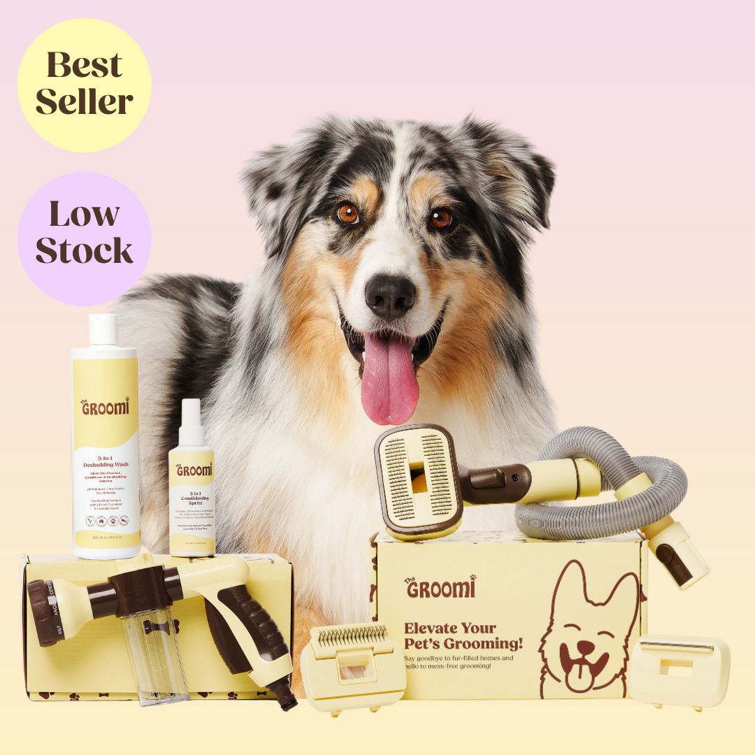 THE GROOMI: Brush & Bath Bundle — 3-in-1 vacuum pet brush + Hydro Hound sprayer + deshedding wash, mess-free grooming, removes loose fur and dirt, self-cleaning brush, fits most vacuums, fast at-home dog bath, hypoallergenic formula, for short medium long coats, reduces shedding and allergens.