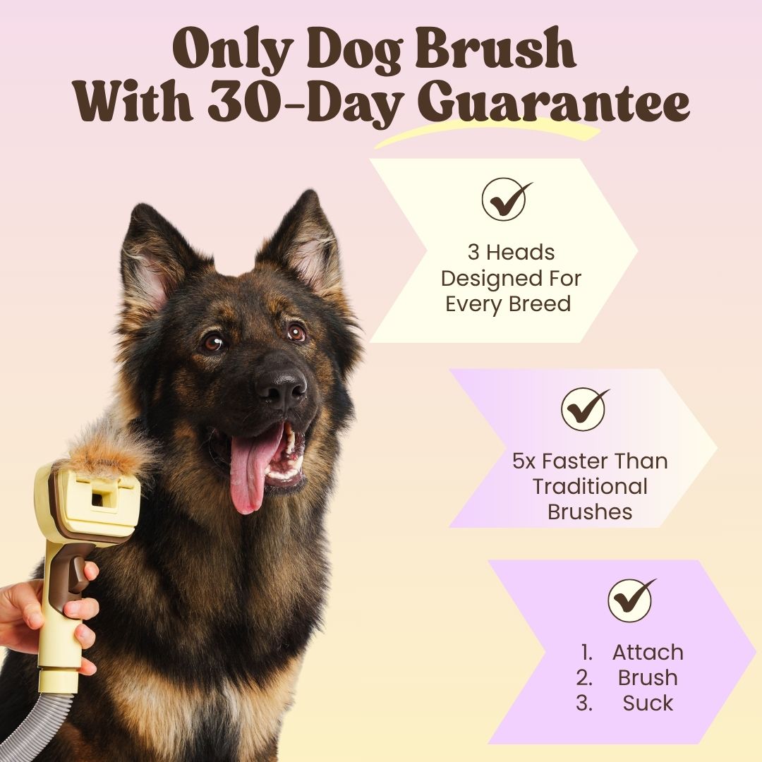 THE GROOMI: GROOMI 3-in-1 Vacuum Pet Brush Kit — self-cleaning dog grooming brush, slicker rake deshed heads, fits any vacuum up to 45mm, removes loose fur, mess-free de-shedding, for short medium long coats, reduces shedding allergies, at-home grooming tool.