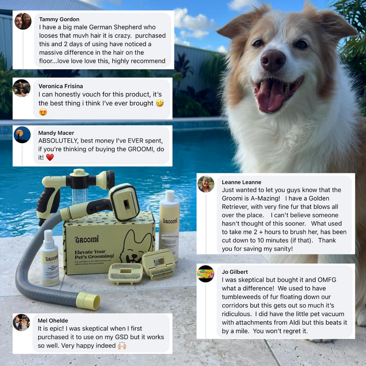 Discover the ultimate Groomi bundle! Includes the GROOMI Kit, Hydro Hound, Deshedding Wash, Spritz. Enjoy up to 50% off, FREE shipping, and a bonus gift. This limited-time offer provides mess-free, quick, and gentle grooming suitable for all breeds. Vegan, organic, and designed to keep your pet calm and engaged. Shop now for professional results at home!