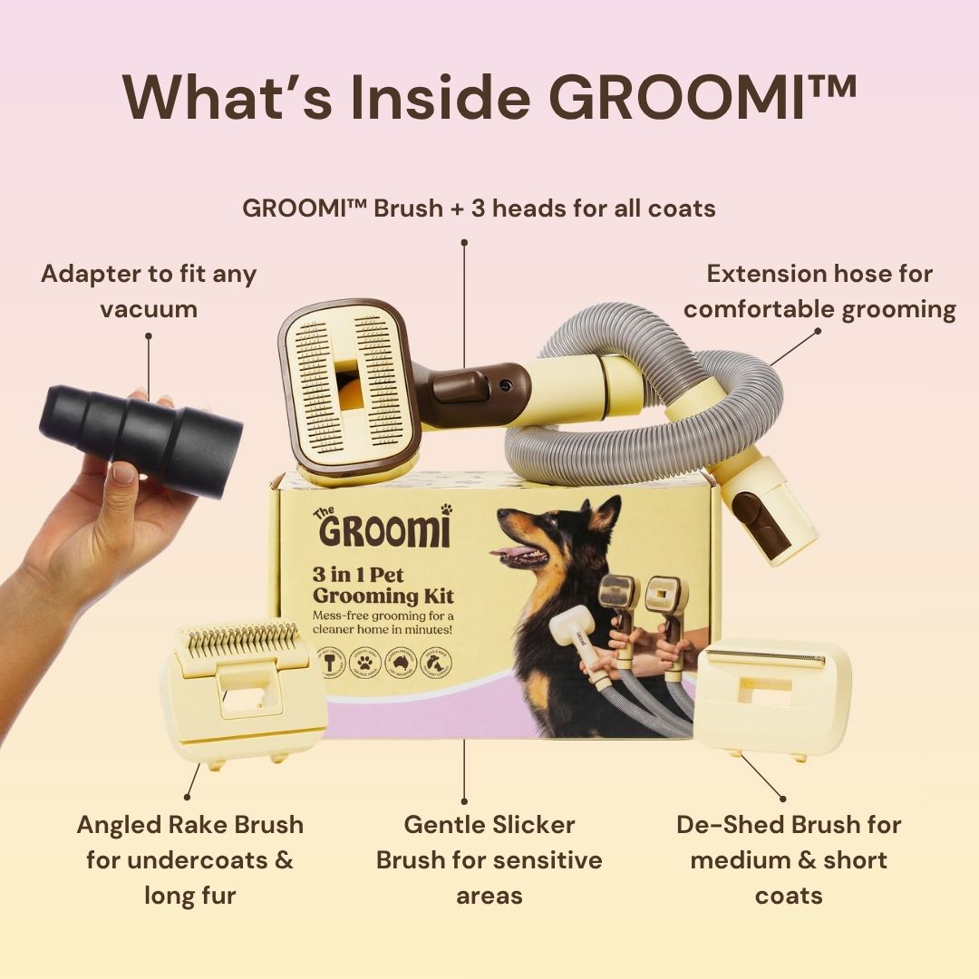 THE GROOMI: GROOMI 3-in-1 Vacuum Pet Brush Kit — self-cleaning dog grooming brush, slicker rake deshed heads, fits any vacuum up to 45mm, removes loose fur, mess-free de-shedding, for short medium long coats, reduces shedding allergies, at-home grooming tool.