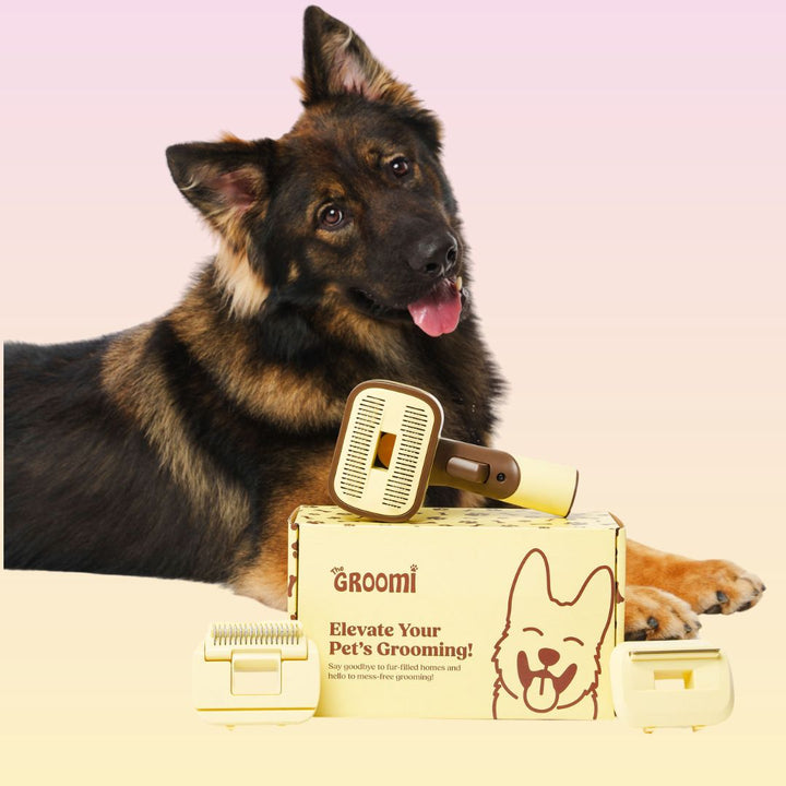 Ultimate GROOMI™ Bundle