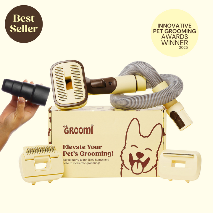 The GROOMI Kit is a quick, mess-free dog grooming brush that connects to vacuums. Ideal for all dog hair types, it features three heads: Slicker, De-Shed, and Rake. This self-cleaning tool captures loose fur efficiently, is allergen-friendly, and perfect for home use. Reduces shedding, saves time, and maintains a clean, fur-free home. Includes a universal vacuum adapter and storage bag, making grooming simple and effective for any dog breed.
