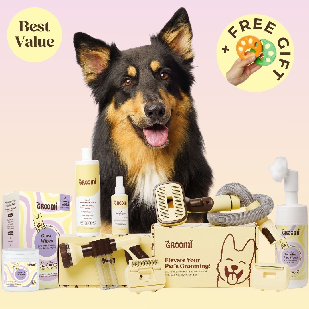 Ultimate GROOMI™ Bundle