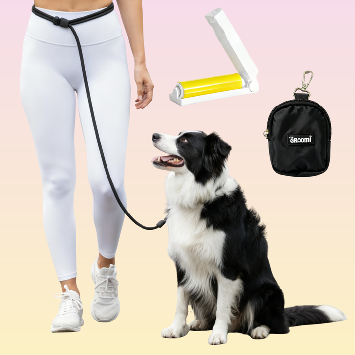 Black Friday Bundle