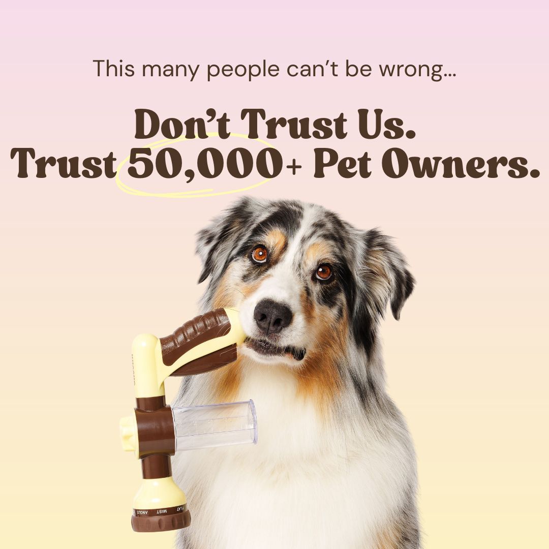 THE GROOMI: Hydro Hound — dog wash hose sprayer with foaming soap bottle, attaches to garden tap, adjustable spray, fast deep clean, removes mud and loose fur, mess-free bath, all breeds, at-home grooming, durable leak-proof fittings, saves time and water.