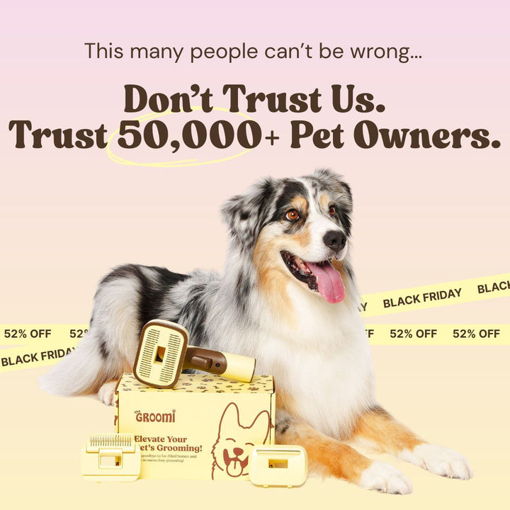 THE GROOMI: GROOMI 3-in-1 Vacuum Pet Brush Kit — self-cleaning dog grooming brush, slicker rake deshed heads, fits any vacuum up to 45mm, removes loose fur, mess-free de-shedding, for short medium long coats, reduces shedding allergies, at-home grooming tool.