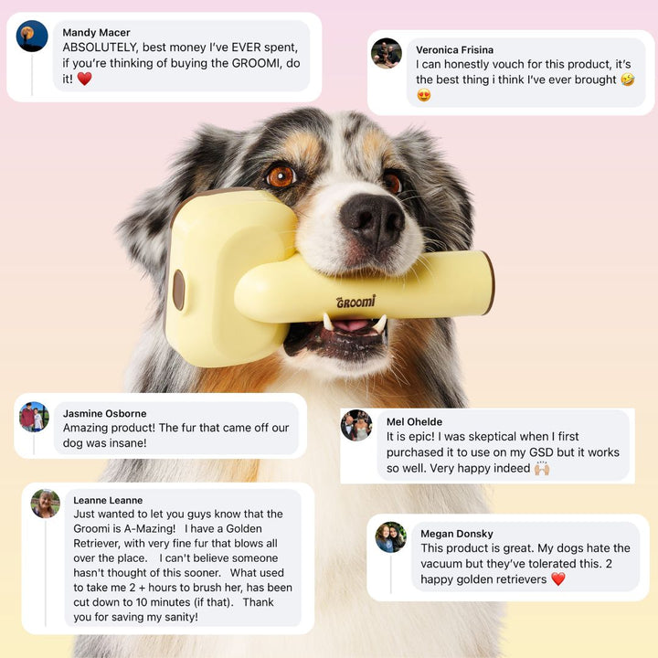 THE GROOMI: GROOMI 3-in-1 Vacuum Pet Brush Kit — self-cleaning dog grooming brush, slicker rake deshed heads, fits any vacuum up to 45mm, removes loose fur, mess-free de-shedding, for short medium long coats, reduces shedding allergies, at-home grooming tool.