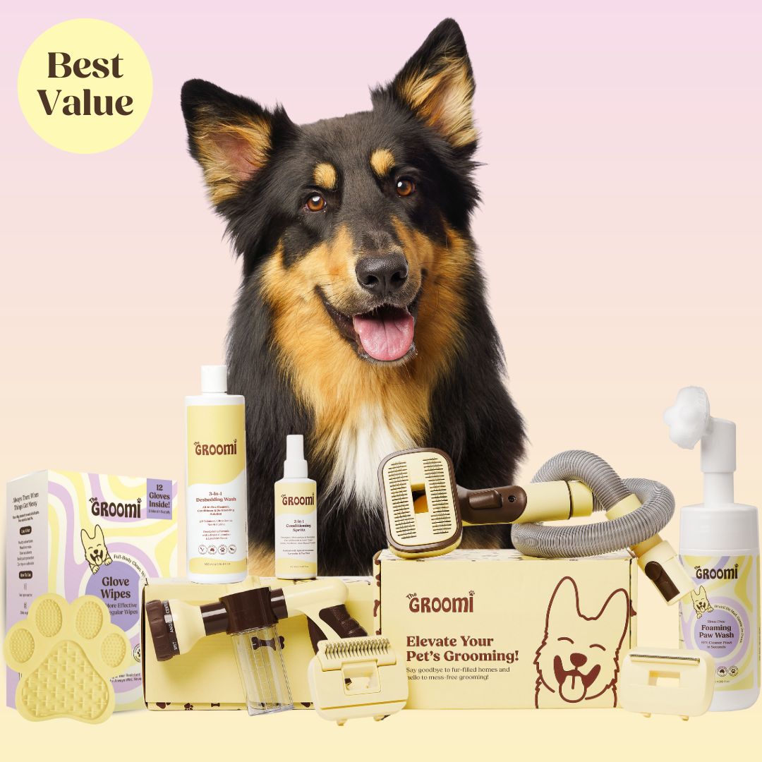 Ultimate GROOMI™ Bundle (PRE-ORDER)