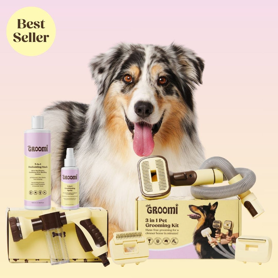 THE GROOMI: Brush & Bath Bundle — 3-in-1 vacuum pet brush + Hydro Hound sprayer + deshedding wash, mess-free grooming, removes loose fur and dirt, self-cleaning brush, fits most vacuums, fast at-home dog bath, hypoallergenic formula, for short medium long coats, reduces shedding and allergens.