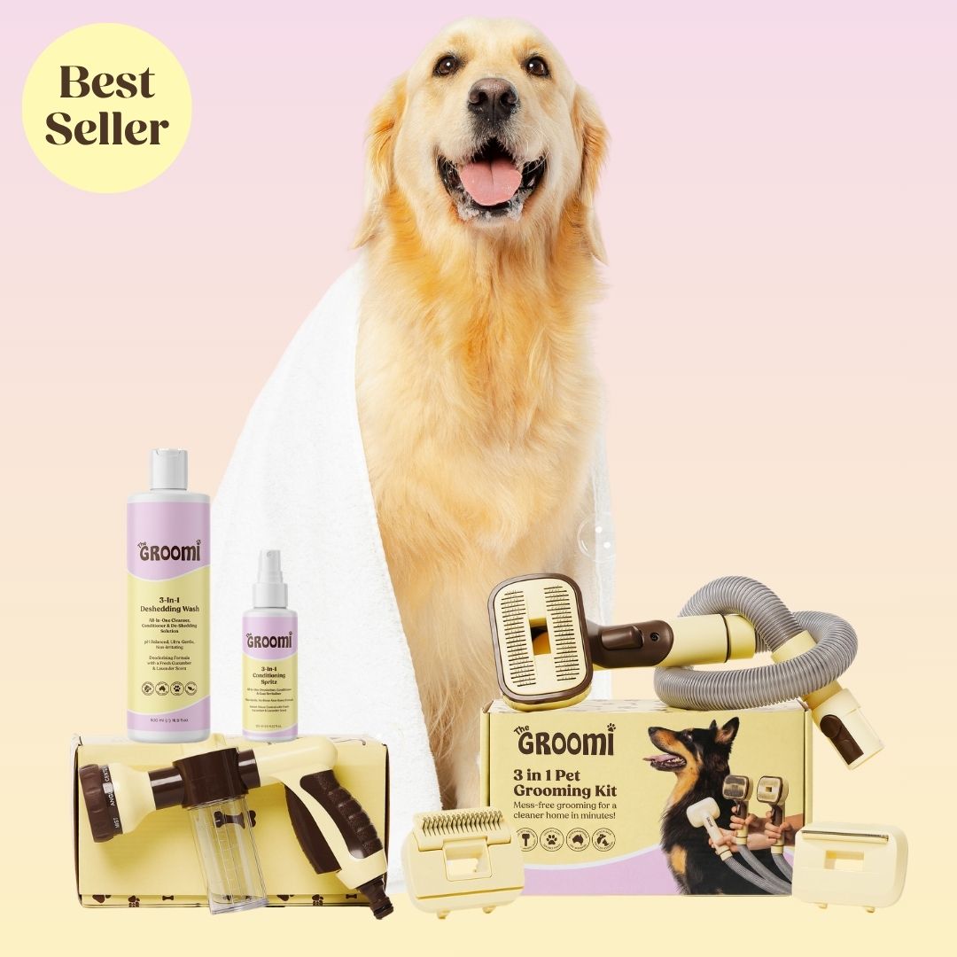 THE GROOMI: Brush & Bath Bundle — 3-in-1 vacuum pet brush + Hydro Hound sprayer + deshedding wash, mess-free grooming, removes loose fur and dirt, self-cleaning brush, fits most vacuums, fast at-home dog bath, hypoallergenic formula, for short medium long coats, reduces shedding and allergens.