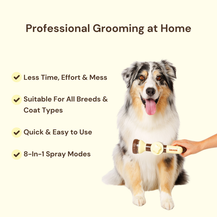 Hydro Hound Dog Wash Kit