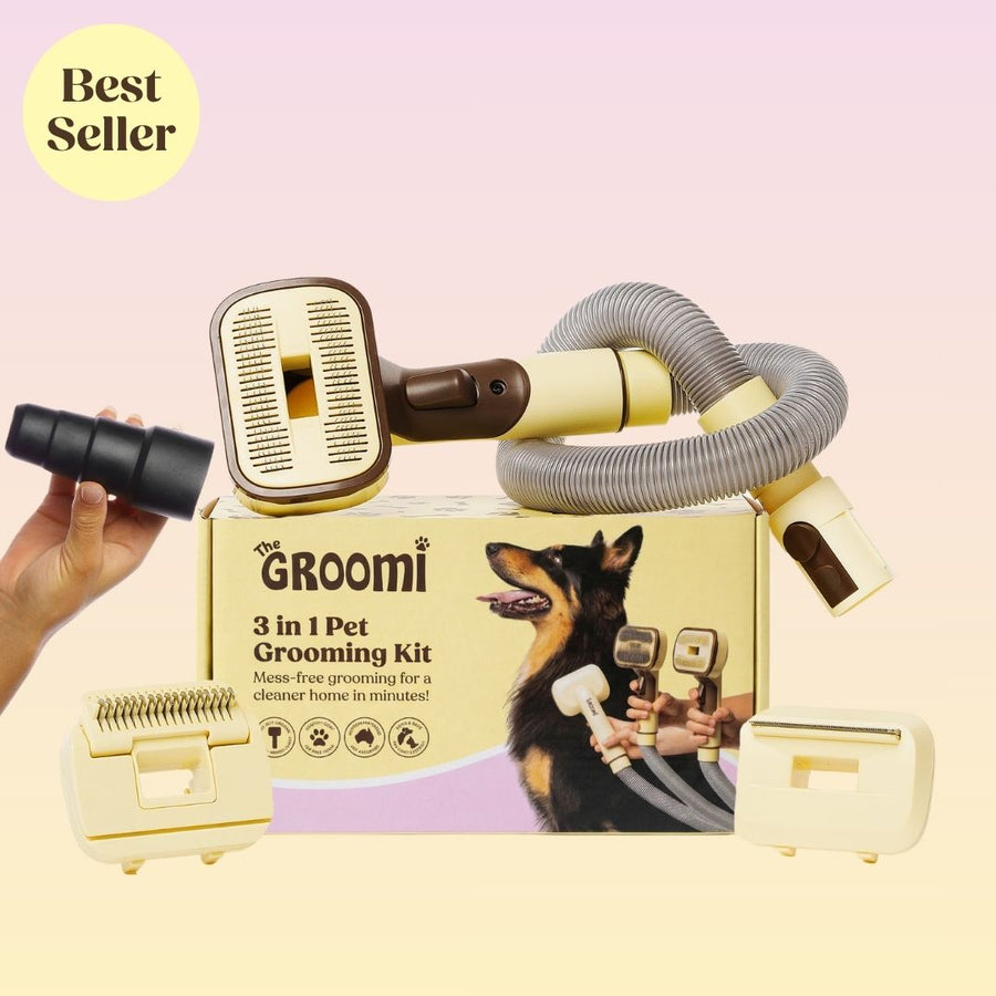 THE GROOMI: GROOMI 3-in-1 Vacuum Pet Brush Kit — self-cleaning dog grooming brush, slicker rake deshed heads, fits any vacuum up to 45mm, removes loose fur, mess-free de-shedding, for short medium long coats, reduces shedding allergies, at-home grooming tool.