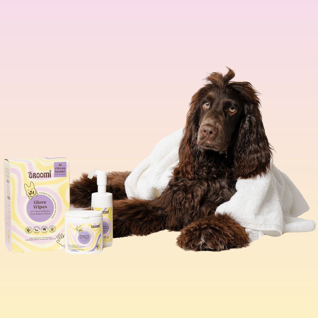Ultimate GROOMI™ Bundle