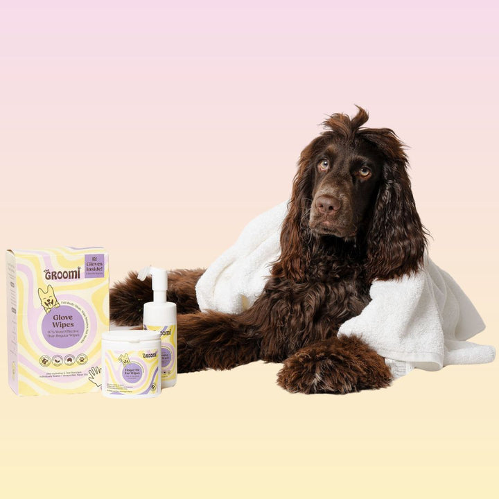 Ultimate GROOMI™ Bundle