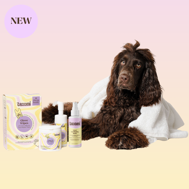 No-Bath Bundle