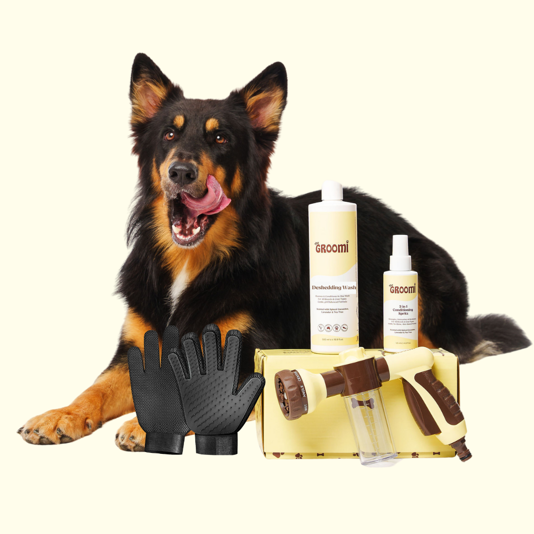GROOMI Bath Bundle for dogs – the all-in-one dog wash kit with Hydro Hound sprayer, Deshedding Wash, 3-in-1 Spritz, and Grooming Gloves. Enjoy easy, mess-free dog baths at home. Perfect for shedding dogs. On sale now with up to 50% off and free shipping across Australia and worldwide. 