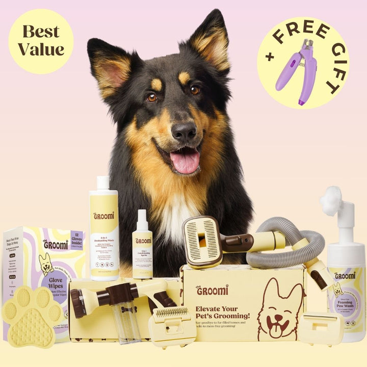 Ultimate GROOMI™ Bundle (PRE-ORDER)