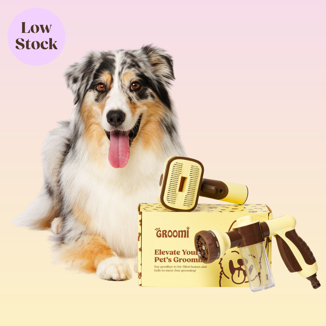 The GROOMI Kit is a quick, mess-free dog grooming brush that connects to vacuums. Ideal for all dog hair types, it features three heads: Slicker, De-Shed, and Rake. This self-cleaning tool captures loose fur efficiently, is allergen-friendly, and perfect for home use. Reduces shedding, saves time, and maintains a clean, fur-free home. Includes a universal vacuum adapter and storage bag, making grooming simple and effective for any dog breed.