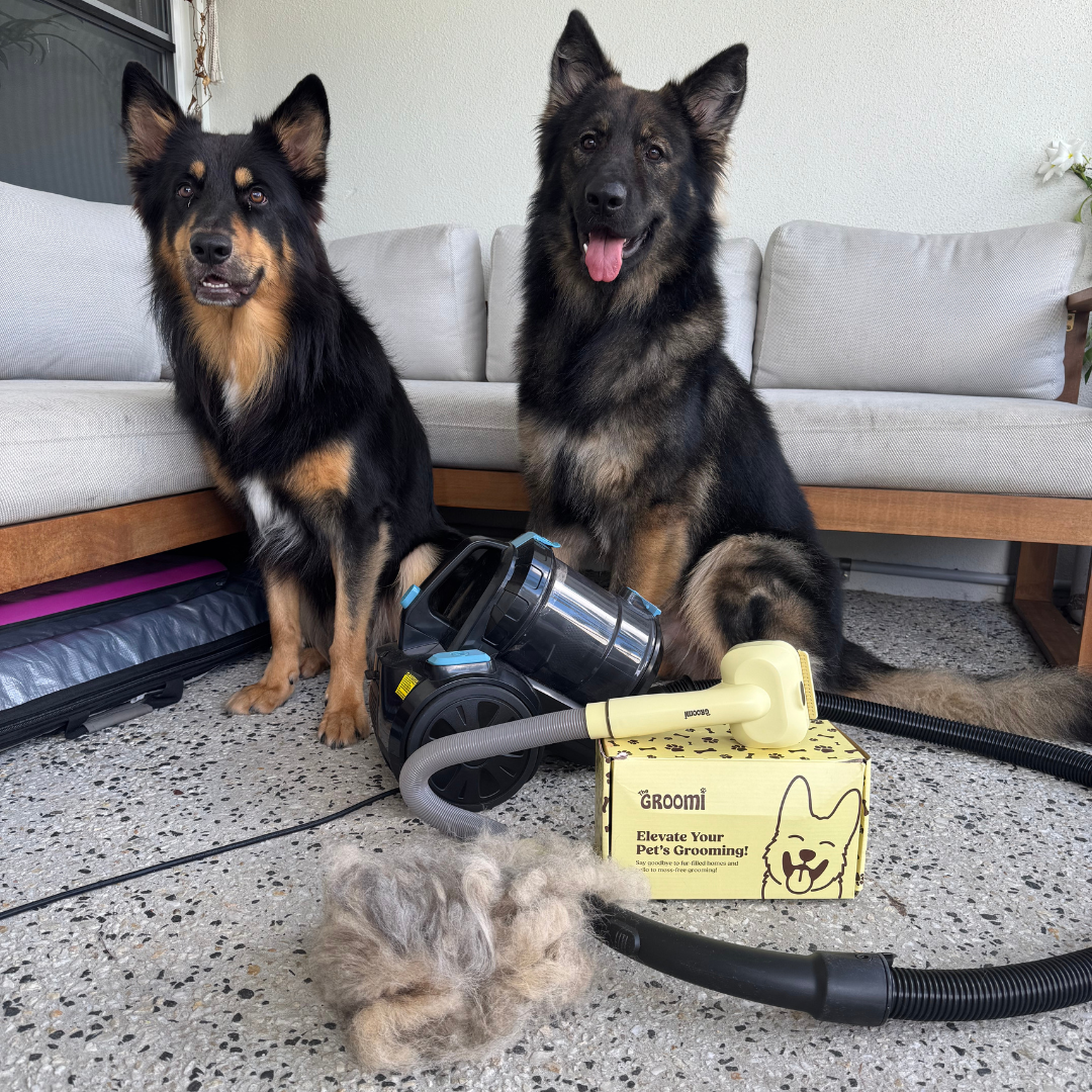 The GROOMI Kit is a quick, mess-free dog grooming brush that connects to vacuums. Ideal for all dog hair types, it features three heads: Slicker, De-Shed, and Rake. This self-cleaning tool captures loose fur efficiently, is allergen-friendly, and perfect for home use. Reduces shedding, saves time, and maintains a clean, fur-free home. Includes a universal vacuum adapter and storage bag, making grooming simple and effective for any dog breed.