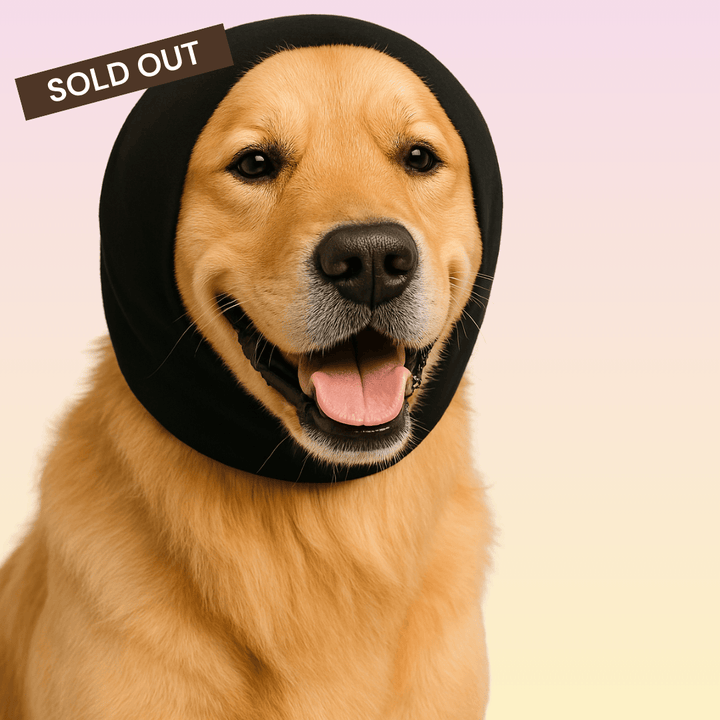 A soft, stretchy dog ear wrap designed to reduce noise from vacuums, dryers, thunder, and grooming tools. Helps soothe anxious dogs and prevent stress during loud moments.