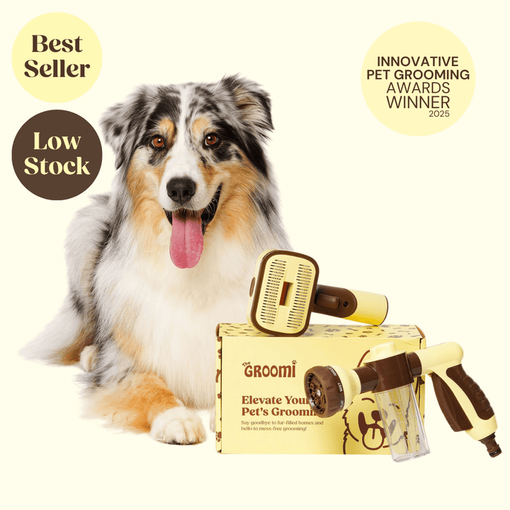 The GROOMI Kit is a quick, mess-free dog grooming brush that connects to vacuums. Ideal for all dog hair types, it features three heads: Slicker, De-Shed, and Rake. This self-cleaning tool captures loose fur efficiently, is allergen-friendly, and perfect for home use. Reduces shedding, saves time, and maintains a clean, fur-free home. Includes a universal vacuum adapter and storage bag, making grooming simple and effective for any dog breed.