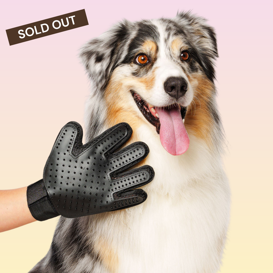 GROOMI Bath Bundle for dogs – the all-in-one dog wash kit with Hydro Hound sprayer, Deshedding Wash, 3-in-1 Spritz, and Grooming Gloves. Enjoy easy, mess-free dog baths at home. Perfect for shedding dogs. On sale now with up to 50% off and free shipping across Australia and worldwide. 