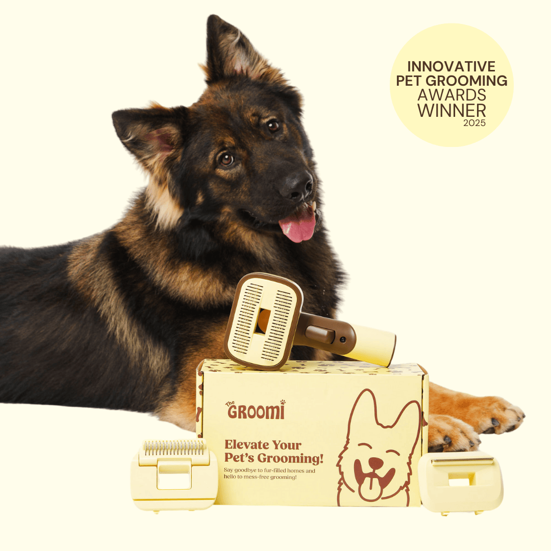 Shepherd Dog Grooming Which Furminator For German Shepherd German