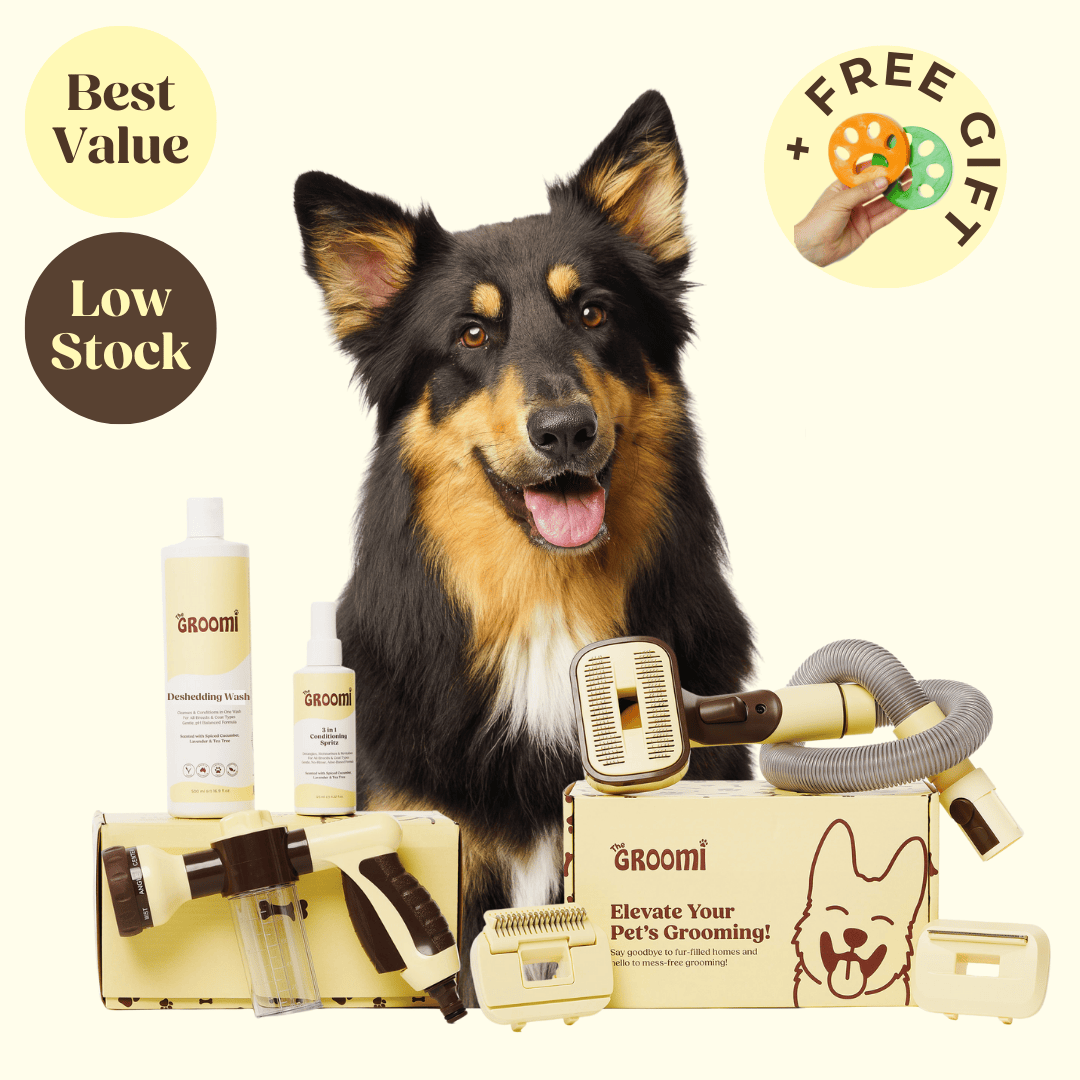 Sale Bundles