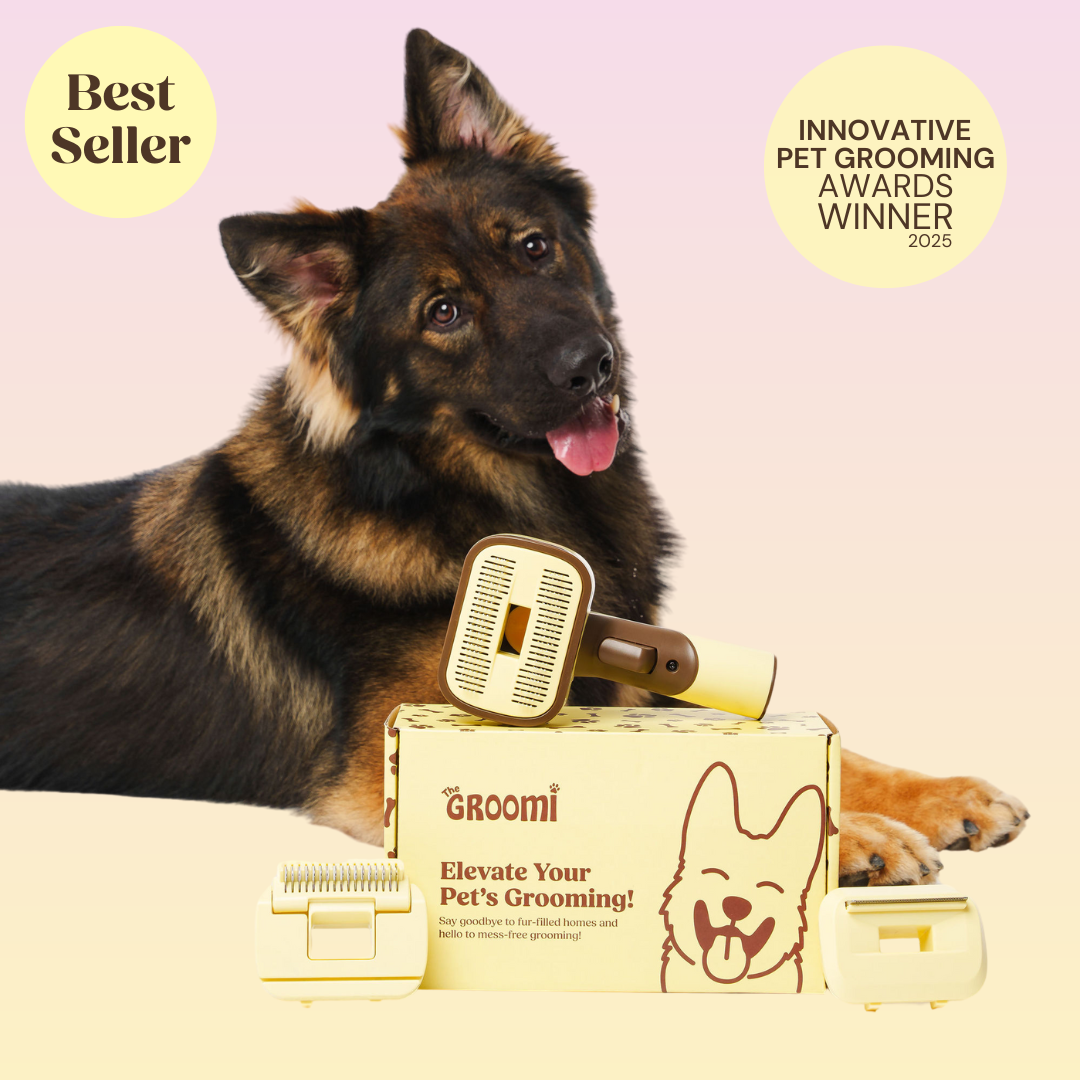 The GROOMI Kit is a quick, mess-free dog grooming brush that connects to vacuums. Ideal for all dog hair types, it features three heads: Slicker, De-Shed, and Rake. This self-cleaning tool captures loose fur efficiently, is allergen-friendly, and perfect for home use. Reduces shedding, saves time, and maintains a clean, fur-free home. Includes a universal vacuum adapter and storage bag, making grooming simple and effective for any dog breed.