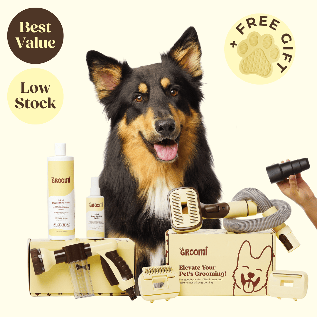 Discover the ultimate Groomi bundle! Includes the GROOMI Kit, Hydro Hound, Deshedding Wash, Spritz. Enjoy up to 50% off, FREE shipping, and a bonus gift. This limited-time offer provides mess-free, quick, and gentle grooming suitable for all breeds. Vegan, organic, and designed to keep your pet calm and engaged. Shop now for professional results at home!