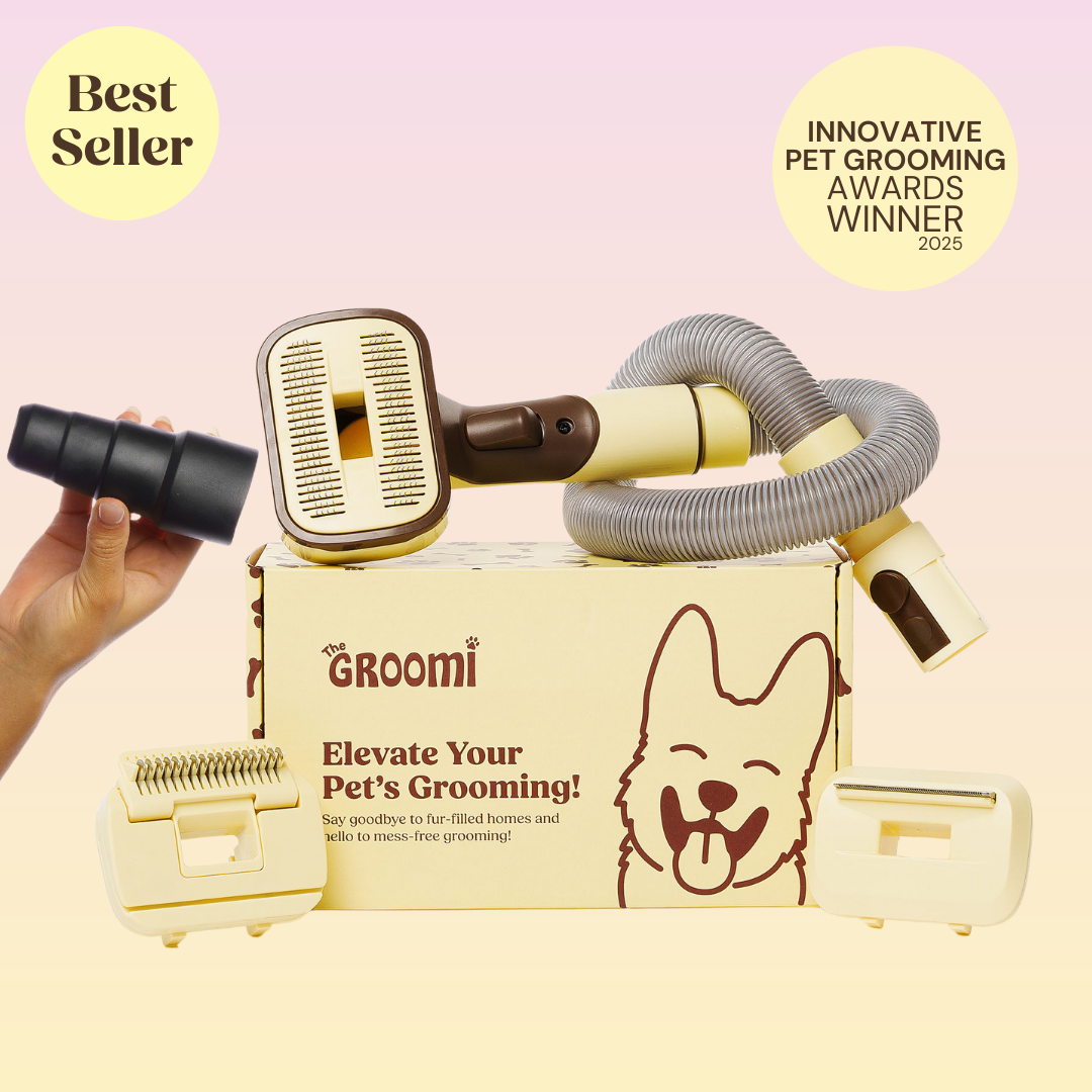 THE GROOMI: GROOMI 3-in-1 Vacuum Pet Brush Kit — self-cleaning dog grooming brush, slicker rake deshed heads, fits any vacuum up to 45mm, removes loose fur, mess-free de-shedding, for short medium long coats, reduces shedding allergies, at-home grooming tool.
