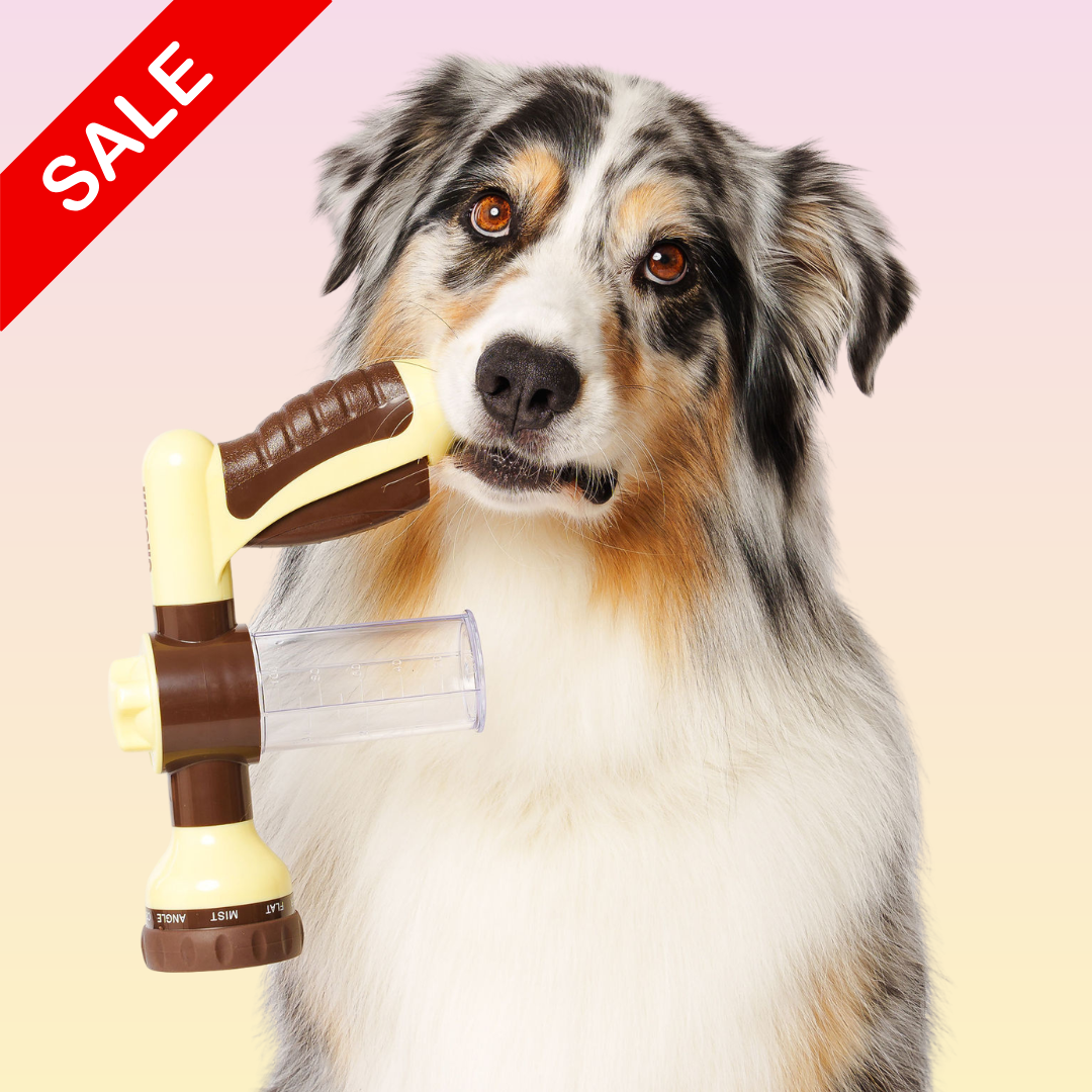 THE GROOMI: Hydro Hound — dog wash hose sprayer with foaming soap bottle, attaches to garden tap, adjustable spray, fast deep clean, removes mud and loose fur, mess-free bath, all breeds, at-home grooming, durable leak-proof fittings, saves time and water.