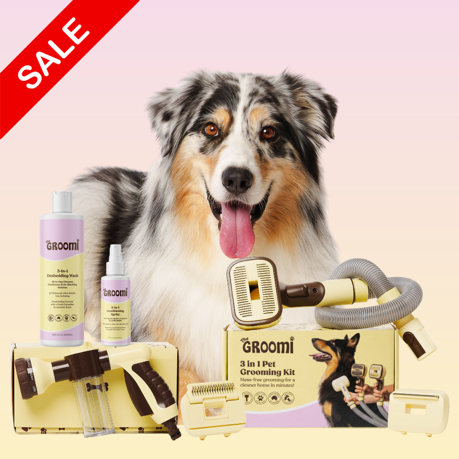 THE GROOMI: Brush & Bath Bundle — 3-in-1 vacuum pet brush + Hydro Hound sprayer + deshedding wash, mess-free grooming, removes loose fur and dirt, self-cleaning brush, fits most vacuums, fast at-home dog bath, hypoallergenic formula, for short medium long coats, reduces shedding and allergens.