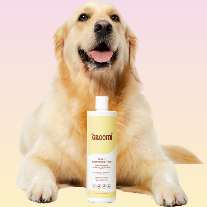 THE GROOMI: Conditioning Wash — dog deshedding shampoo, deep clean, reduces shedding and odor, moisturising, pH-balanced, hypoallergenic, soap-free, fast rinse, for puppies and adult dogs, all coat types, sensitive skin, grooming essential, fresh scent.
