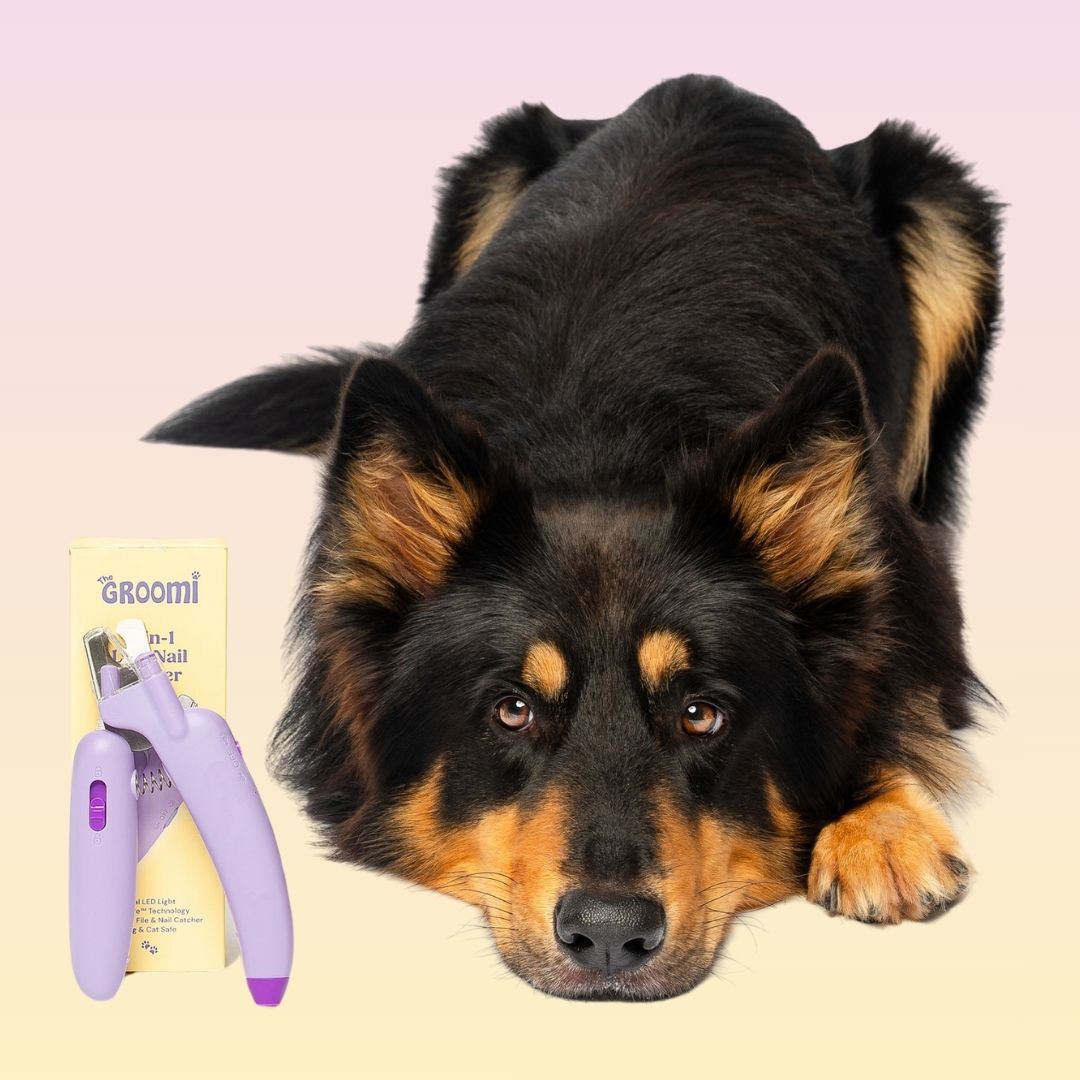 GROOMI™ 4-In-1 LED Nail Clipper