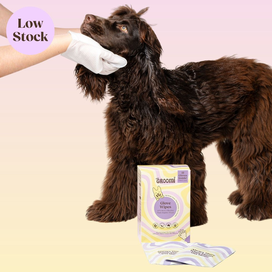THE GROOMI: Groomi Glove Wipes — glove-shaped pet cleaning wipes, rinse-free full-body clean, removes dirt and odor, durable soft non-tearing, individually sealed, hydrating, hypoallergenic, for dogs & cats, travel friendly, quick cleanup between baths, grooming essentials.