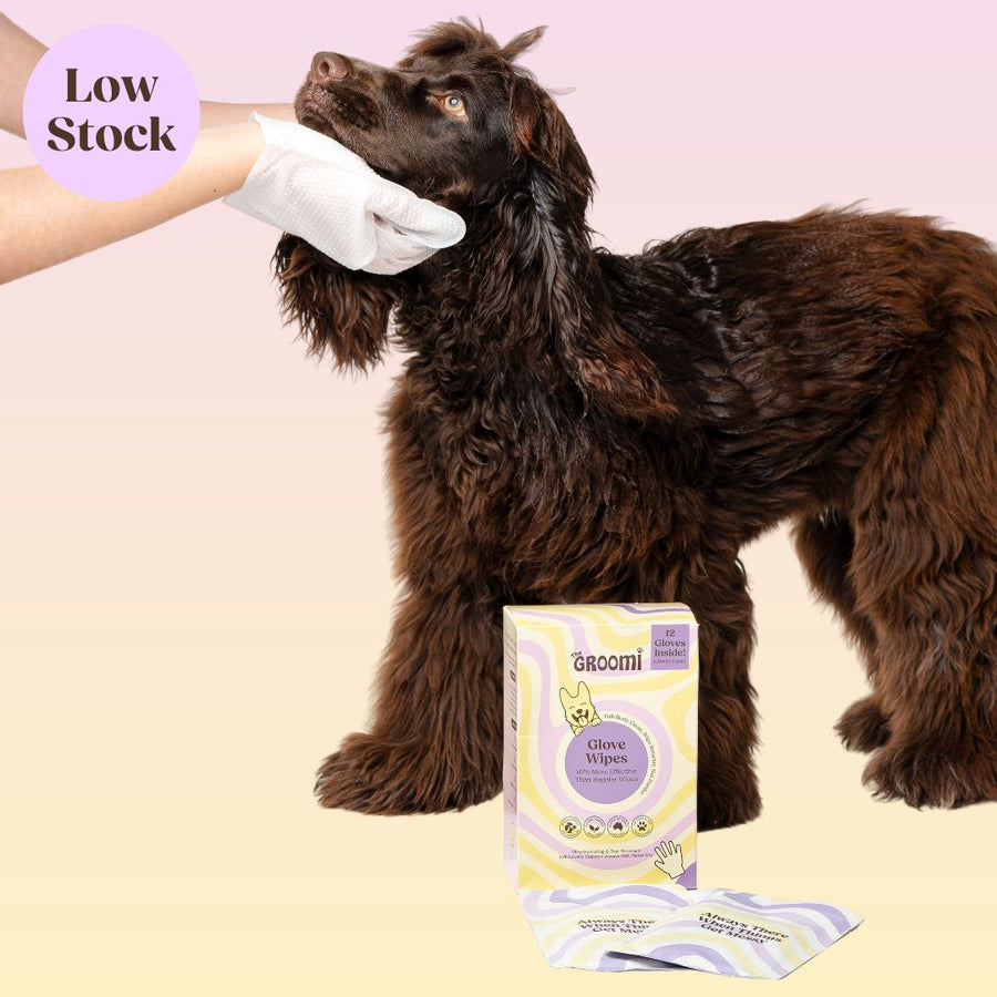 THE GROOMI: Groomi Glove Wipes — glove-shaped pet cleaning wipes, rinse-free full-body clean, removes dirt and odor, durable soft non-tearing, individually sealed, hydrating, hypoallergenic, for dogs & cats, travel friendly, quick cleanup between baths, grooming essentials.